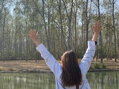 -合肥滨湖国家森林公园