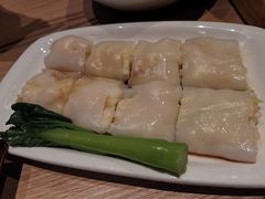 -南枝记