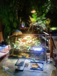 -酷嗒动物文化乐园(cutezoo西溪乐天城店)