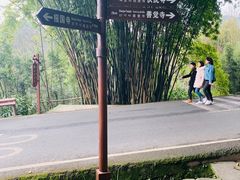 -峨眉山报国寺