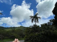 -深圳仙湖植物园