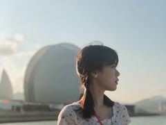 -野狸岛