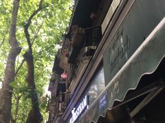 -Pasha帕夏土耳其餐厅(南昌路店)