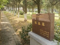 -集美学村