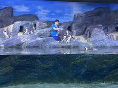 -暹罗海洋世界