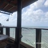 崔了三次，菜才慢慢上来