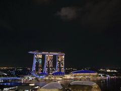 -新加坡瑞士史丹福酒店