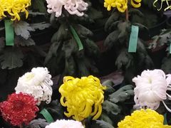 -共青国家森林公园-售票处
