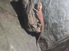 -青青世界