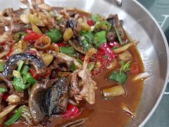 -龙小海荆沙鸽子店(瑞安街店)