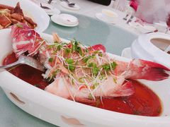 清蒸东星斑-佛山皇冠假日酒店-西餐厅