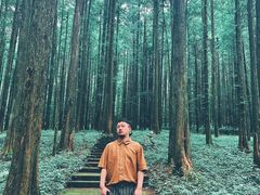 -武陵山森林公园