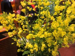 -何师烧烤Pro ·江湖川菜·小龙虾·精酿(太古里旗舰店)