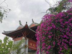 -国恩寺