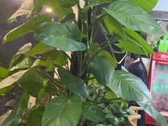 -尚岛私房菜(西方巷店)