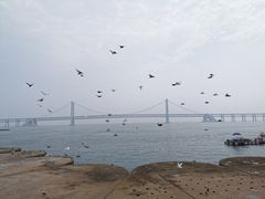 -星海湾跨海大桥