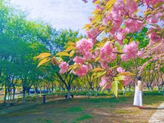 -白塘生态植物园