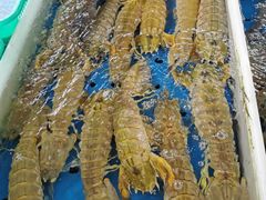 -大湾区中央湿地公园-十九涌
