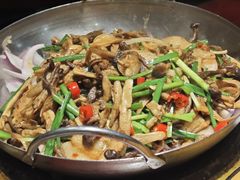 -邵年鸽(杨庄店)