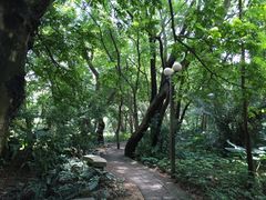 -四海公园(南山区)