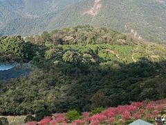 -广州市石门国家森林公园