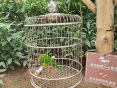 -南宫五洲植物乐园