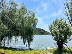 -东钱湖旅游度假区