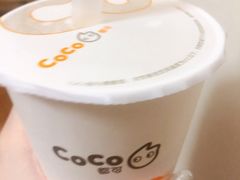 -CoCo都可(骆家庄新店)