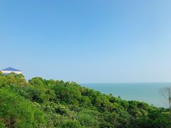 -广东惠东海龟国家级自然保护区