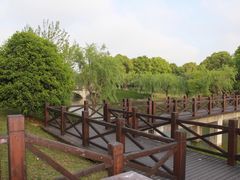 -上海鲜花港