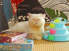 -泰国佛·塔罗·泰牌狐仙古曼