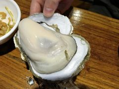 -烧蠔帮·湛江生蚝(南桥店)