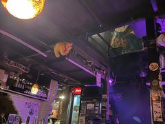 -后巷酒吧Back Alley(未来广场店)