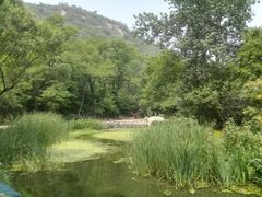-白水寺森林公园