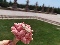 -灵山胜境