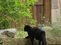 -中国茶叶博物馆(双峰馆区)