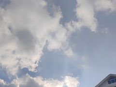 -东升灌浆包(辛庄街总店)
