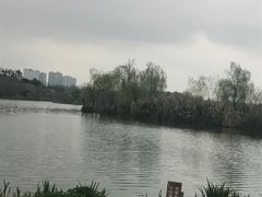 -白鹭湾湿地公园