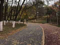 -北京奥林匹克公园