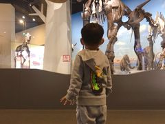 -国家自然博物馆