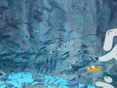 -威海华夏城景区