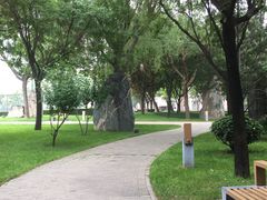 -唐城墙遗址公园