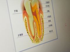 -中科领军口腔
