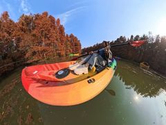 -上海海湾国家森林公园