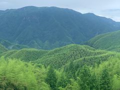 -江南天池