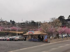 -玫瑰庄园·自助烧烤·烤全羊·团建拓展(龙泉山店)