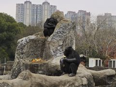 -南昌动物园