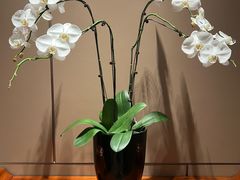 -洋洋中餐馆·SINCE 1997(信投店)