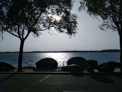 -丁香湖公园
