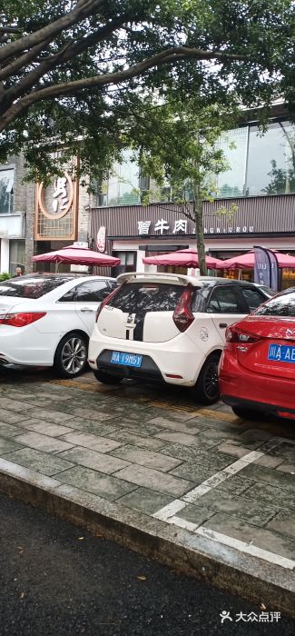 曾牛肉图片